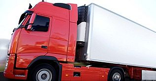 Road Freight Services